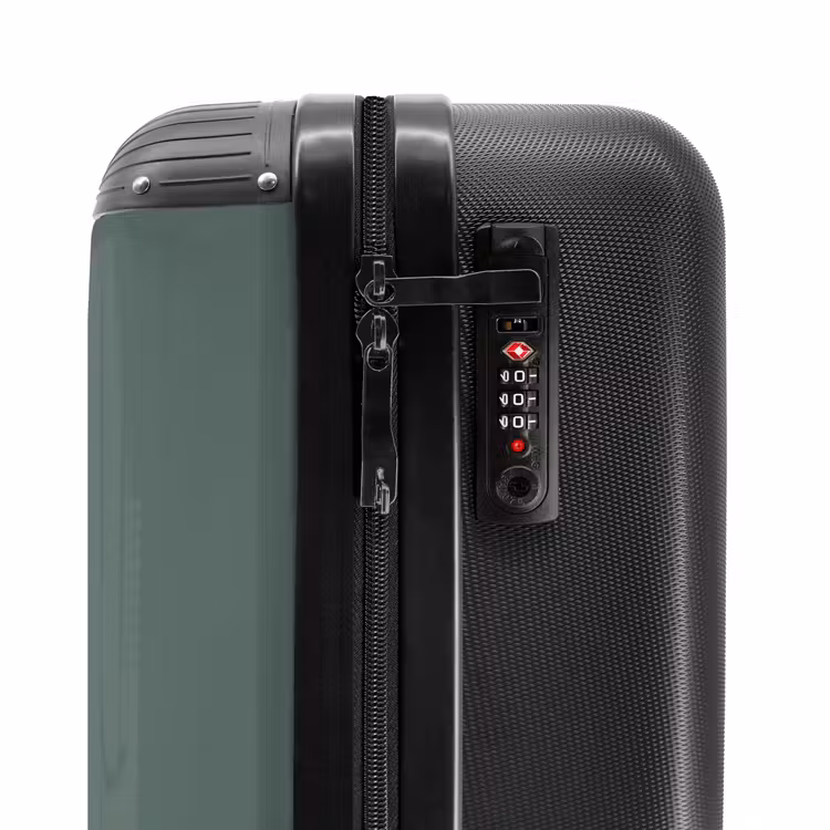Suitcase - Palm trees - Palm tree on sage green background — 5