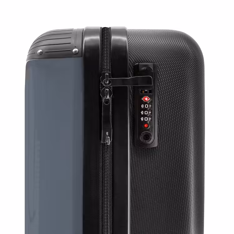 Suitcase - Tattoo style- Realistic scorpion on gray background — 5