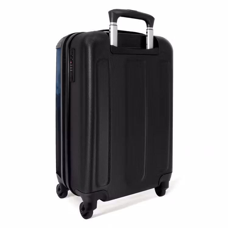 Suitcase - Pig on dark background as oil art — 2