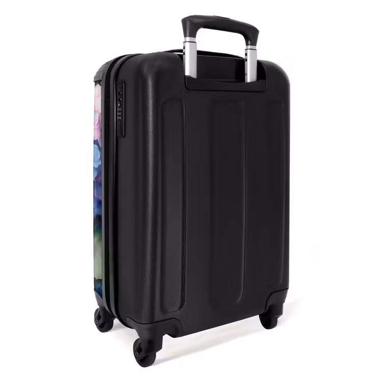 Suitcase - Hydrangea flowers in graffiti style — 2