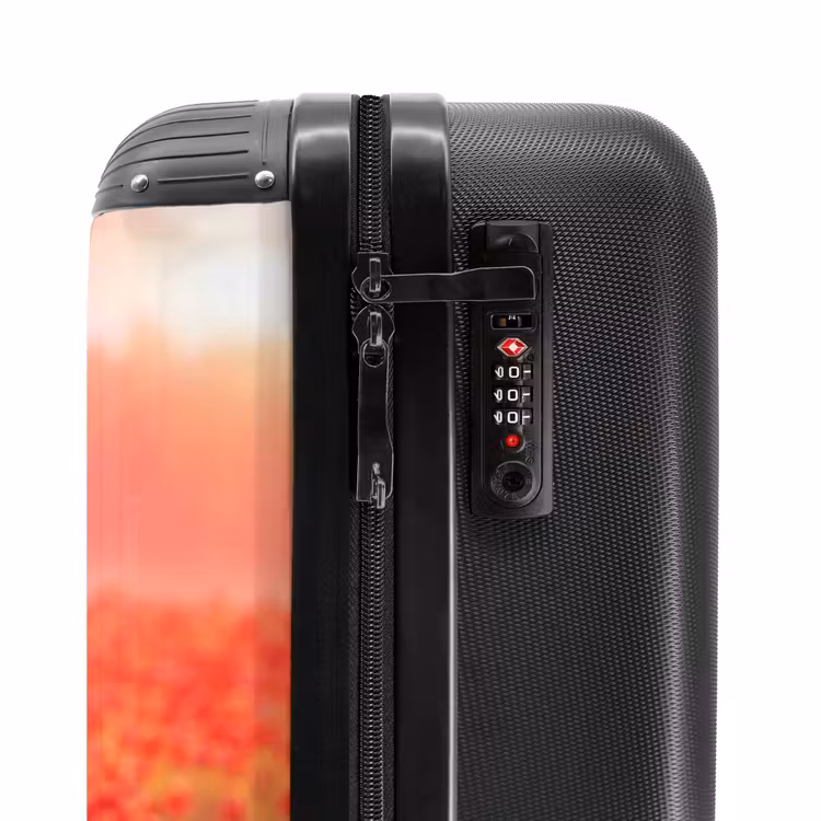 Suitcase - Poppies at sunset — 5