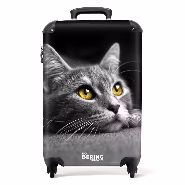 Suitcase - Black and white cat with yellow eyes — 1