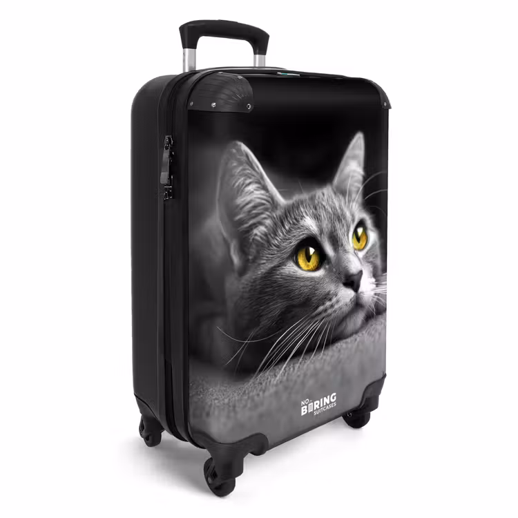 Suitcase - Black and white cat with yellow eyes — 4