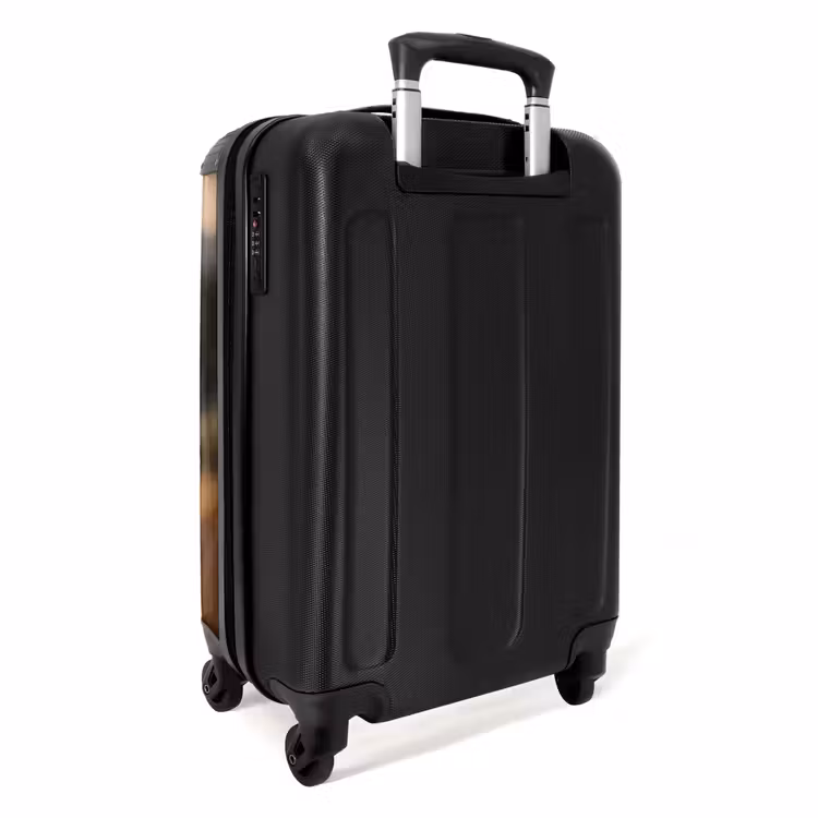 Suitcase - Brown horse in a pasture — 2