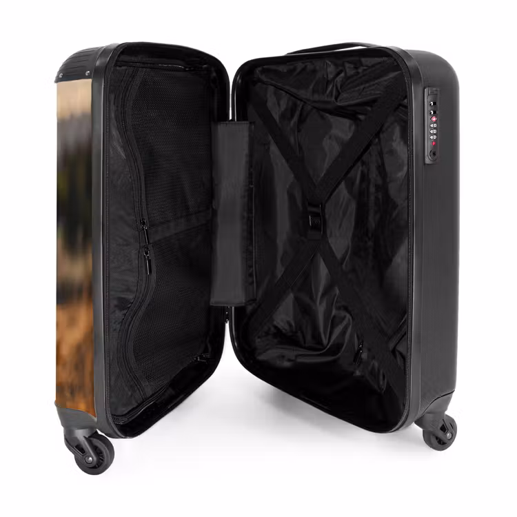 Suitcase - Brown horse in a pasture — 3