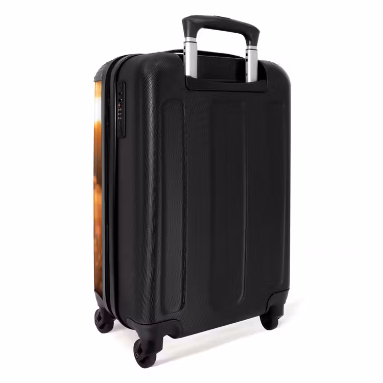 Suitcase - Brown horse in pasture — 2