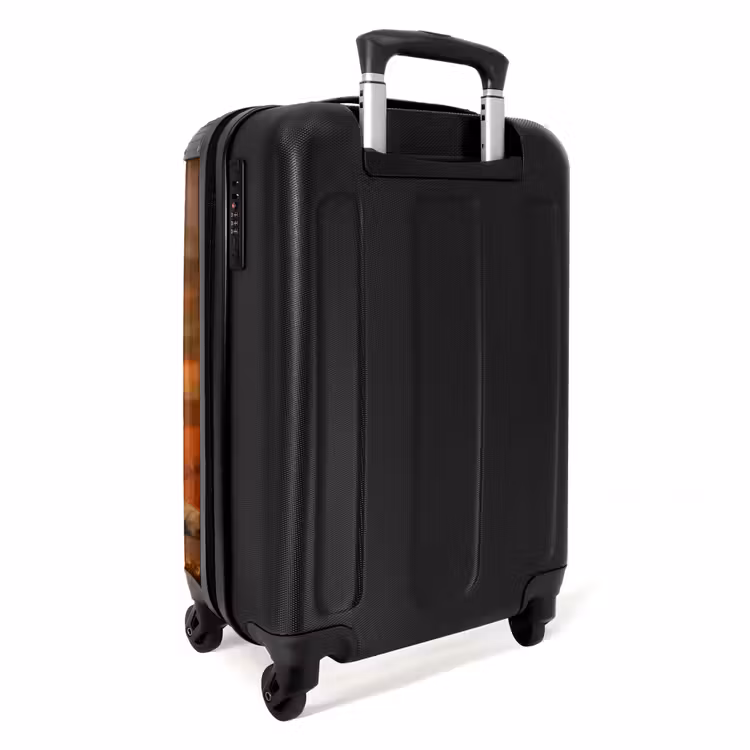 Suitcase - Two brown lions — 2