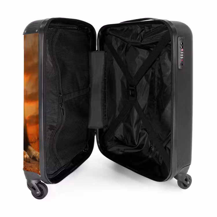Suitcase - Two brown lions — 3