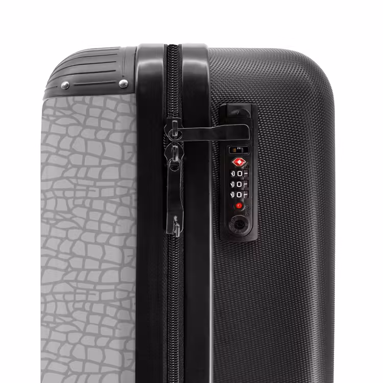 Suitcase - Pattern of gray scales — 5