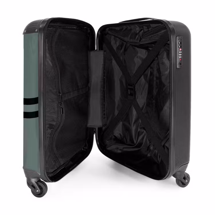 Suitcase - Green background with double black horizontal stripes — 3
