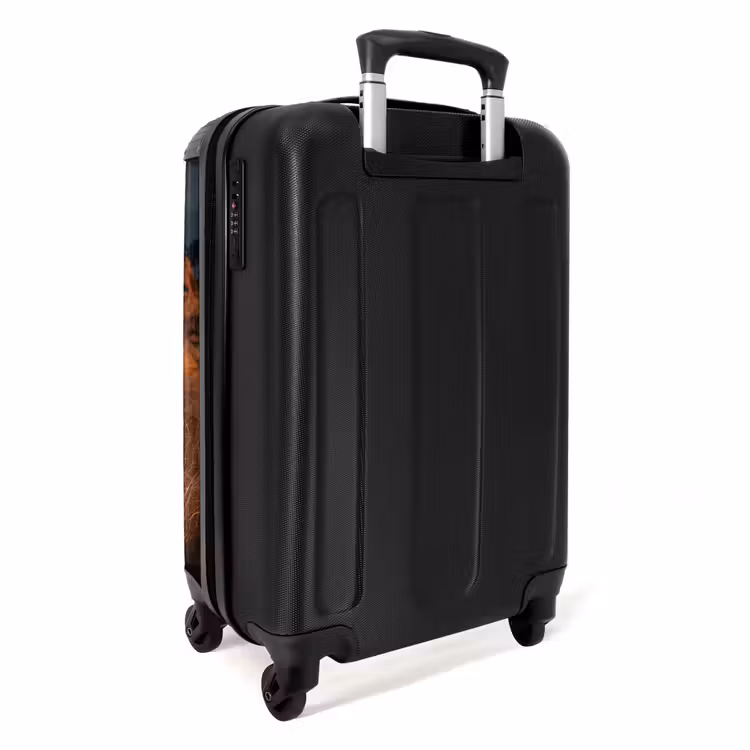 Suitcase - Beach at sunset — 2