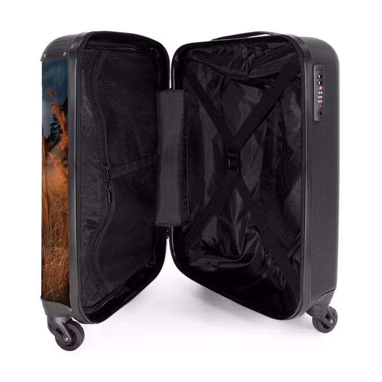 Suitcase - Beach at sunset — 3