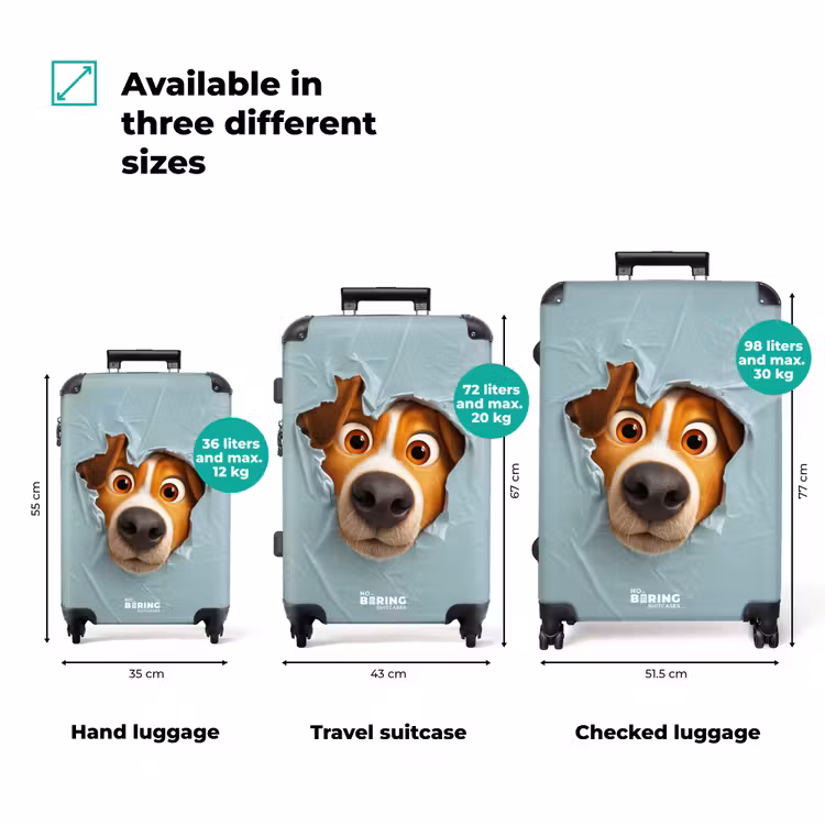 Suitcase - Brown dog through torn blue plastic — 3