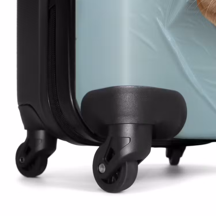 Suitcase - Brown dog through torn blue plastic — 7