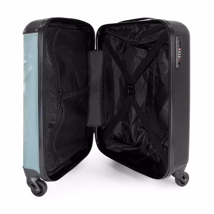 Suitcase - Lion with orange mane through plastic wall — 5