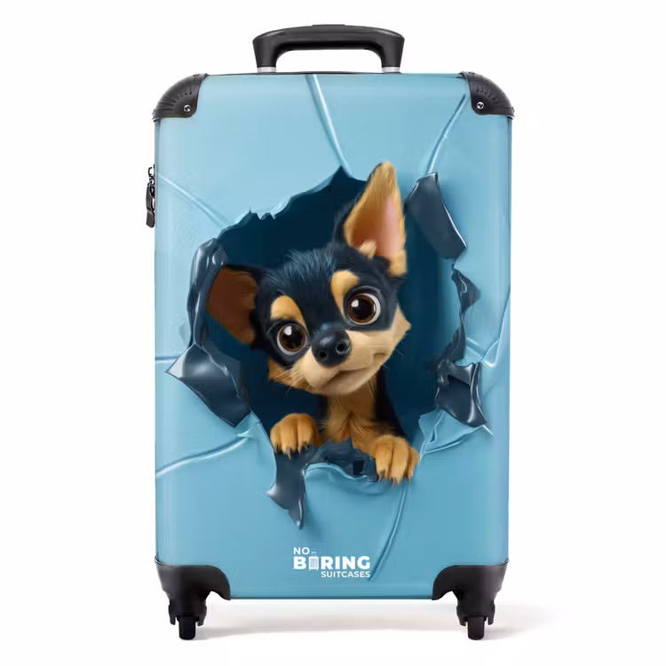 Suitcase - Small chihuahua pokes head through blue wall — 1