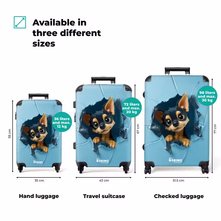Suitcase - Small chihuahua pokes head through blue wall — 3