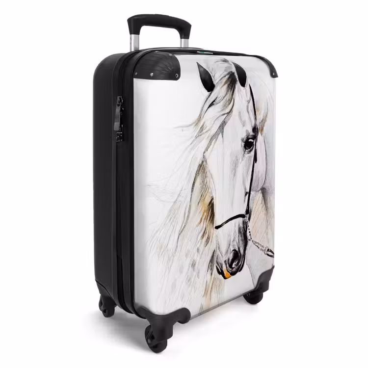 Suitcase - Snowflake — 4