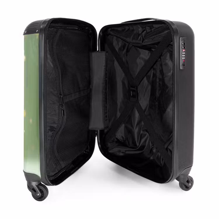 Suitcase - Fairy in a green dress — 5