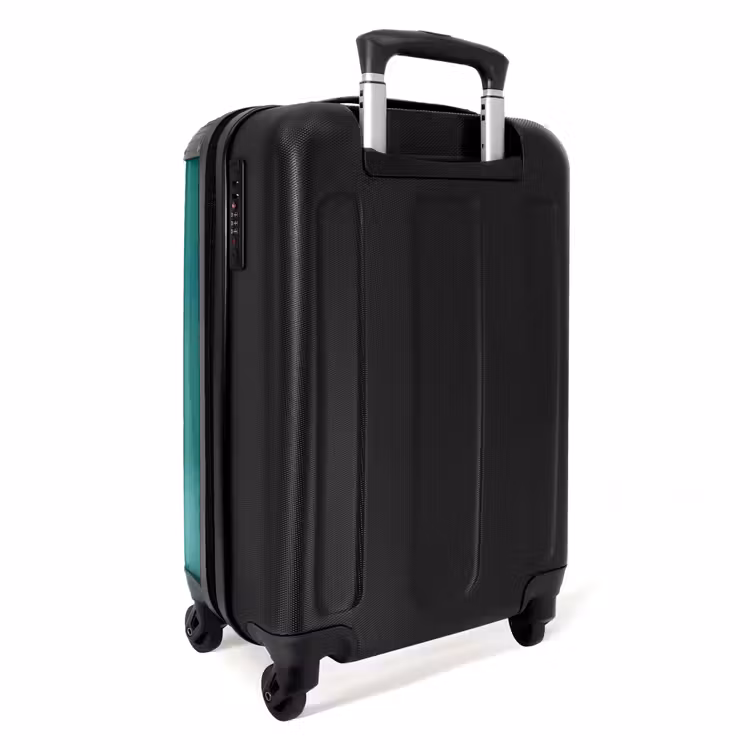 Suitcase - Hamster with a carrot on a blue background — 4