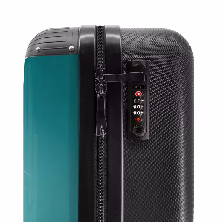 Suitcase - Hamster with a carrot on a blue background — 6