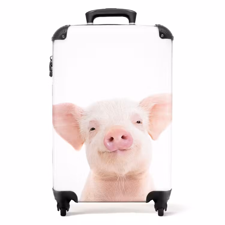 Suitcase - Binky Big — 1