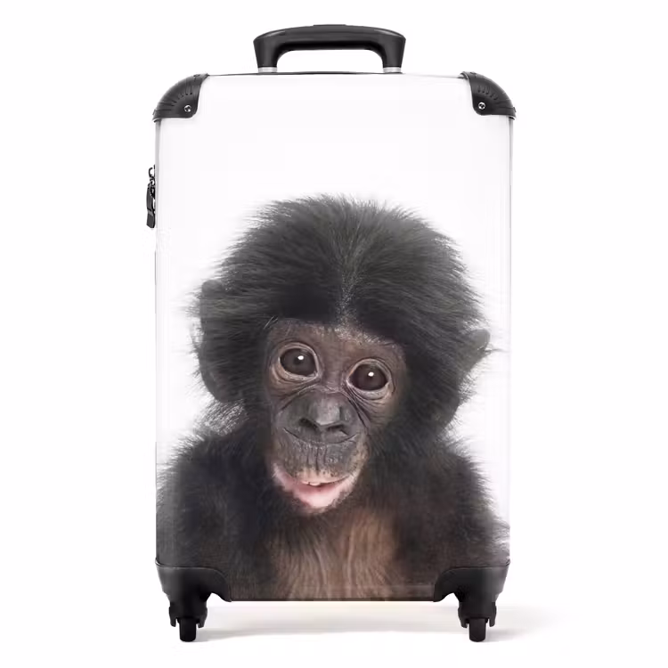 Suitcase - Charlie Chimp — 1