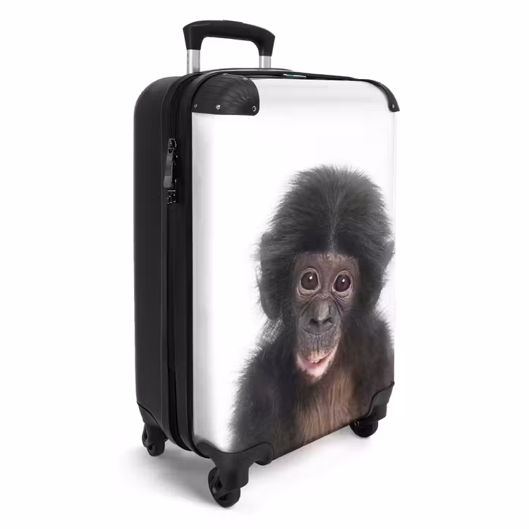 Suitcase - Charlie Chimp — 4