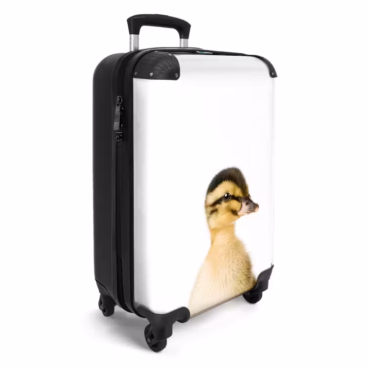 Suitcase - Daisy Duck — 4