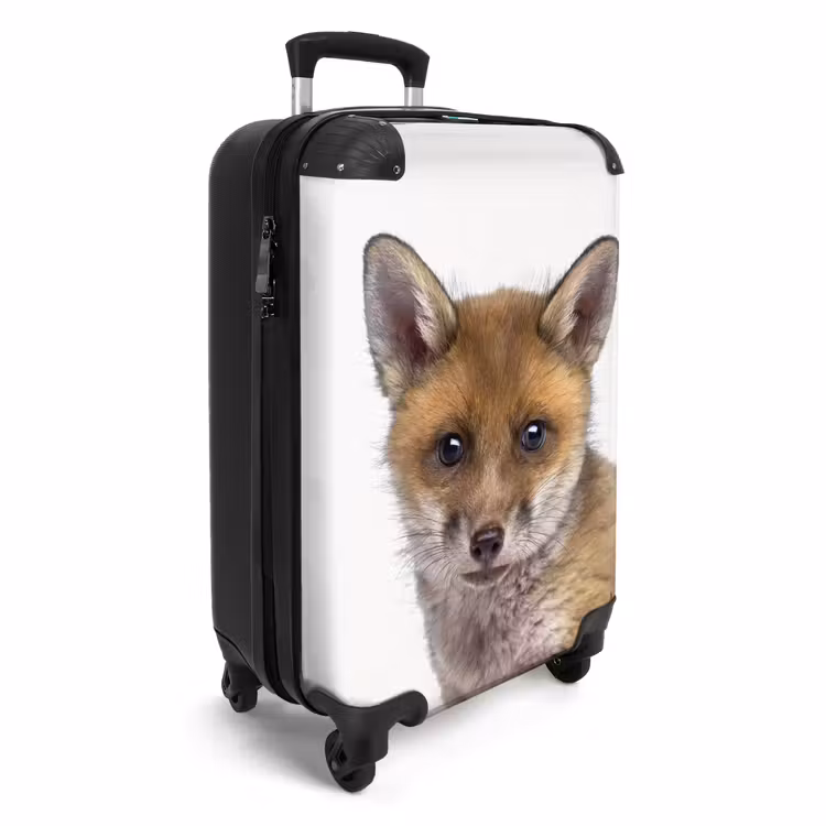 Suitcase - Victor Vos — 4