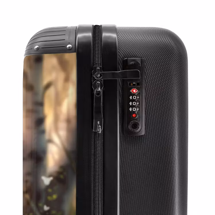 Suitcase - Bobby Bosboom — 5