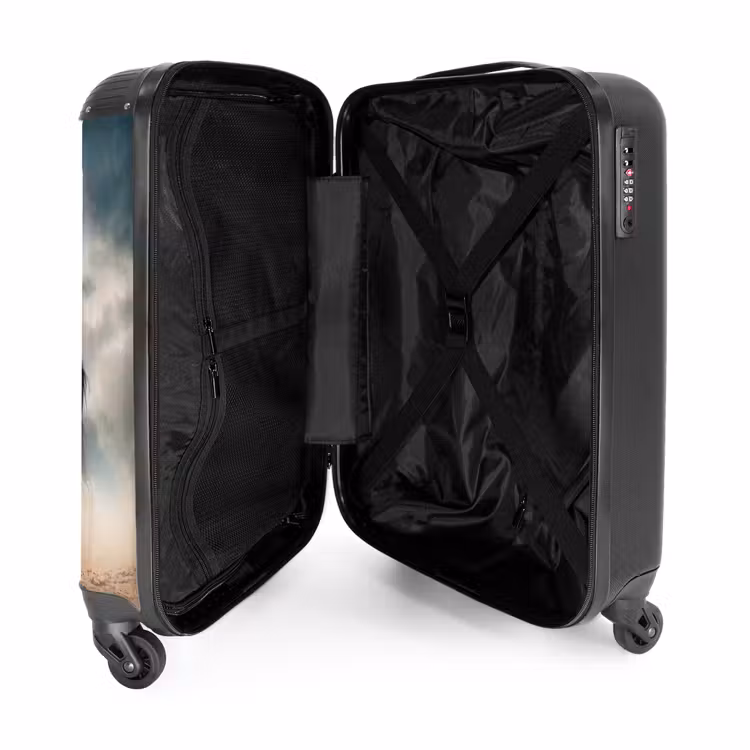 Suitcase - Sandy in storm — 3