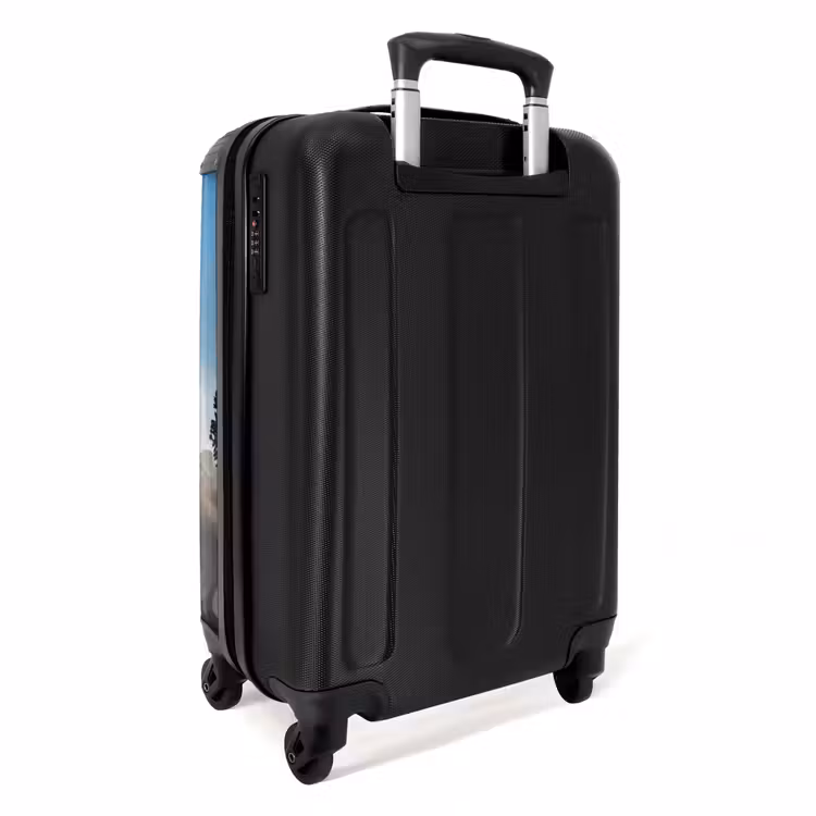 Suitcase - Darius Dino — 2
