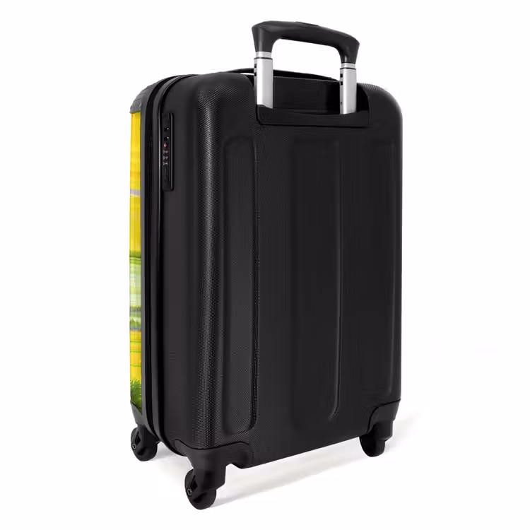Suitcase - Dinosaur in Dinosaurland — 2