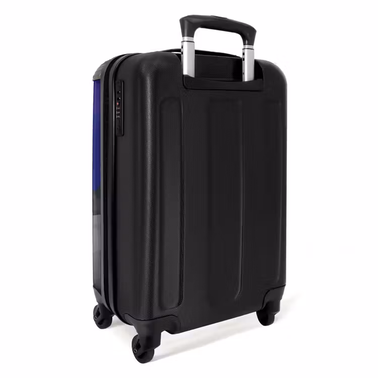 Suitcase - Tjibbe T-Rex — 2