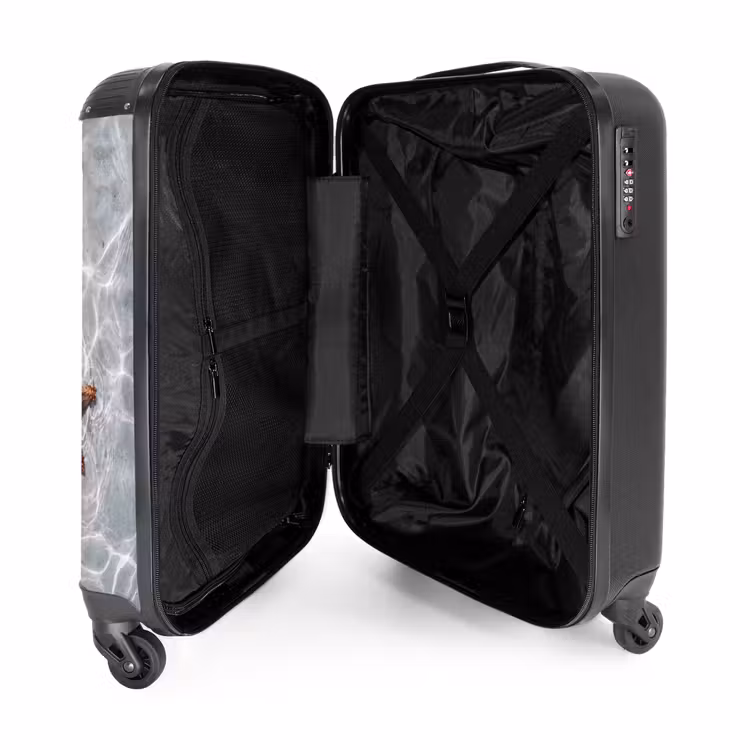 Suitcase - Starfish - Water - Clear — 3