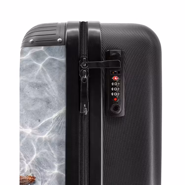 Suitcase - Starfish - Water - Clear — 5