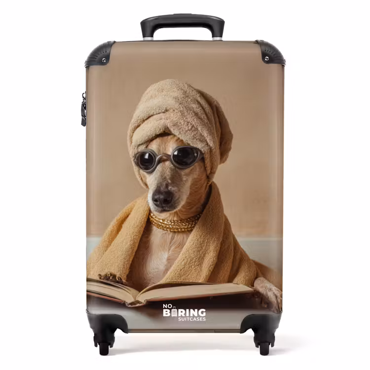 Suitcase - Bath - Dog - Book - Sunglasses — 1