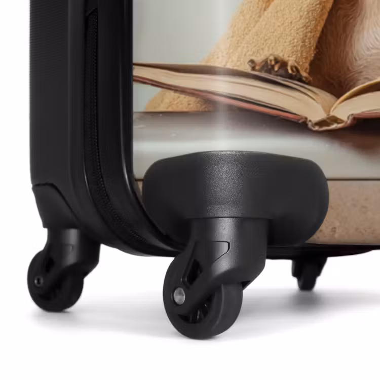 Suitcase - Bath - Dog - Book - Sunglasses — 6