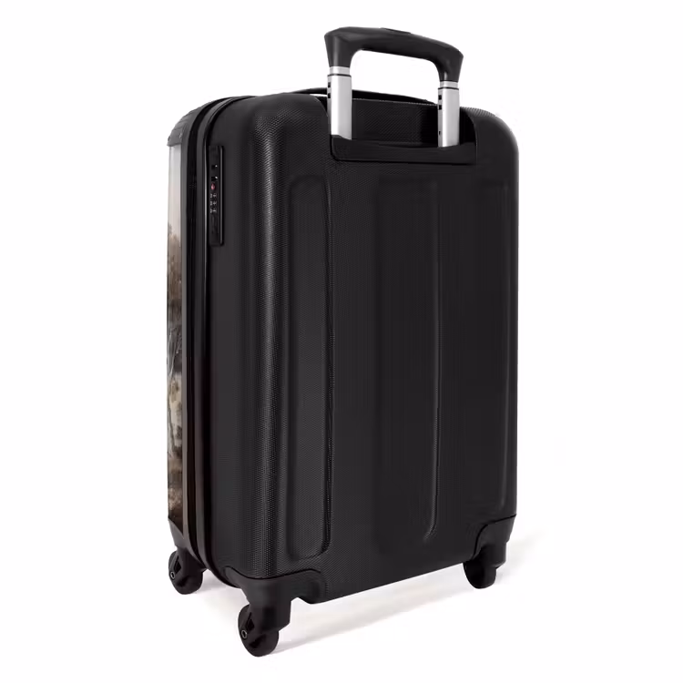 Suitcase - Classic - Landscape - Neutral — 2