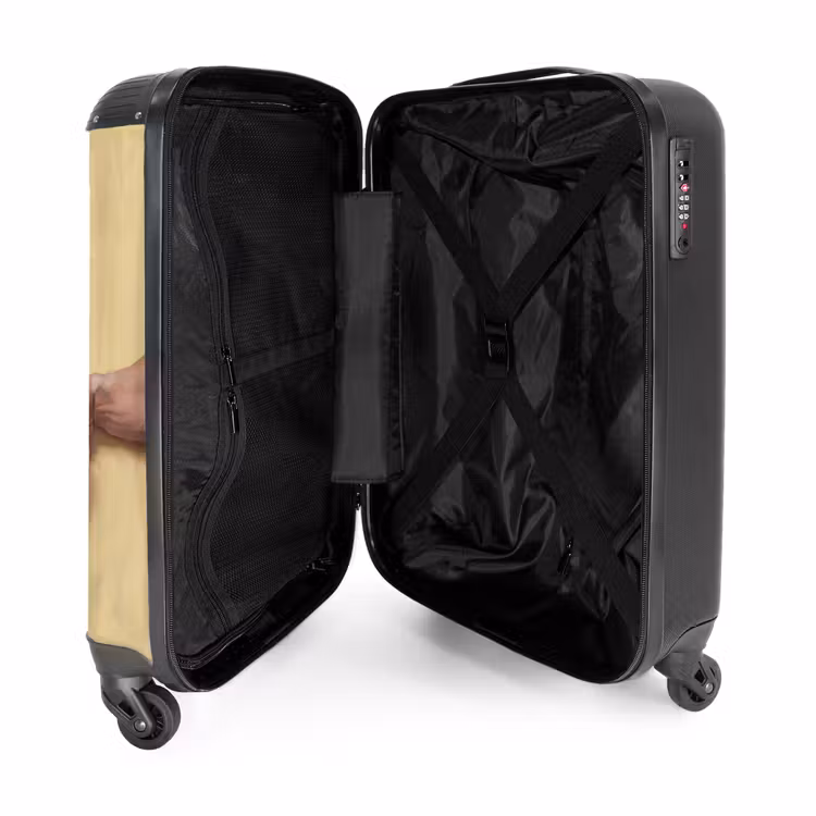 Suitcase - Classical - Art - Humor — 3