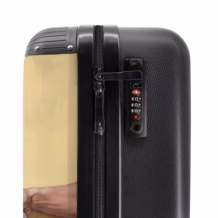 Suitcase - Classical - Art - Humor — 5