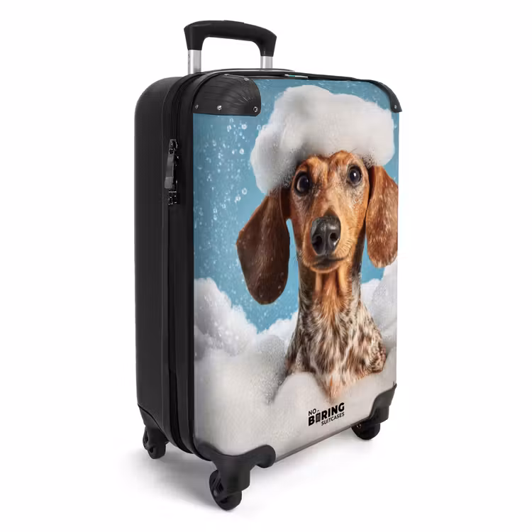 Suitcase - Dachshund - Bath - Foam - Water drops — 4