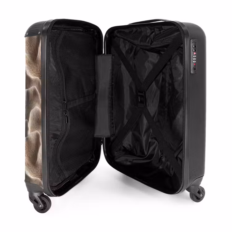 Suitcase - Fan shape - Beige - Fiber texture — 3