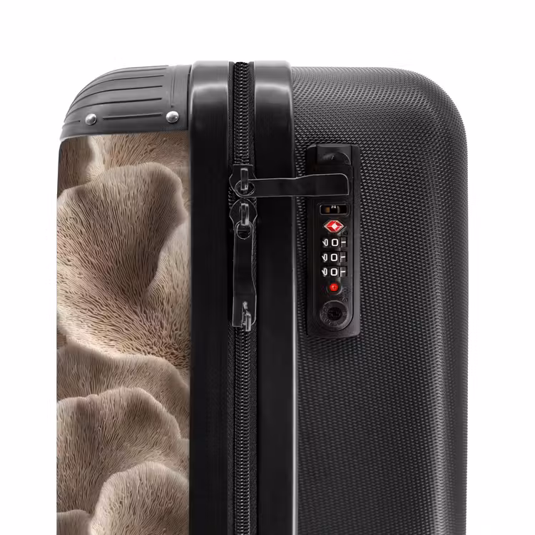 Suitcase - Fan shape - Beige - Fiber texture — 5