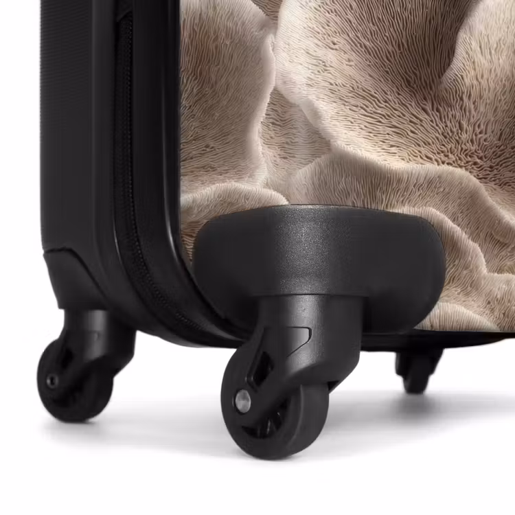 Suitcase - Fan shape - Beige - Fiber texture — 6