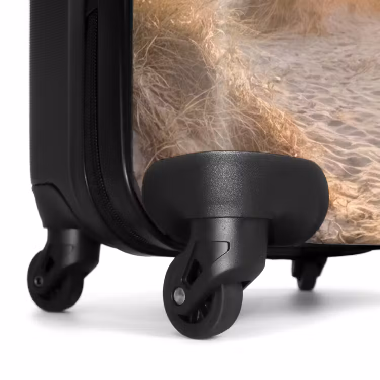 Suitcase - Dunes - Beach - Sea — 6