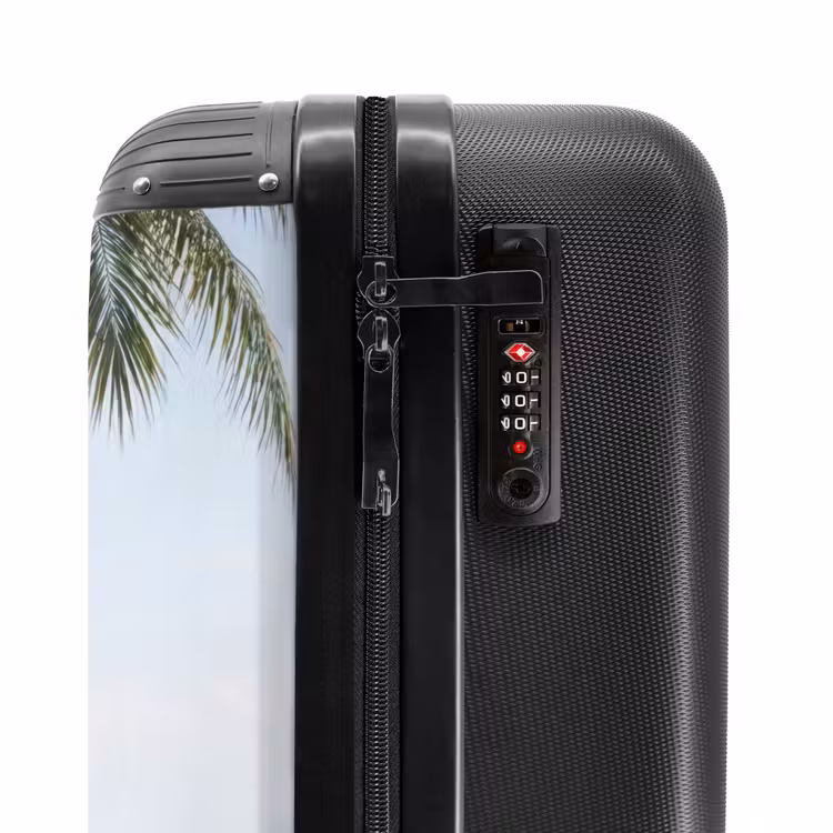 Suitcase - Palm trees - Path - Horizon — 5