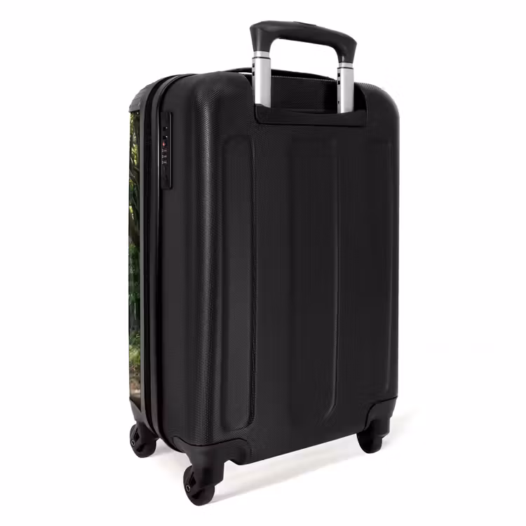 Suitcase - Road - Trees - Nature - Greenery — 2