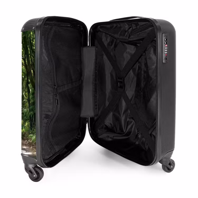 Suitcase - Road - Trees - Nature - Greenery — 3